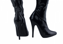 6 inch heel boots from pleaser